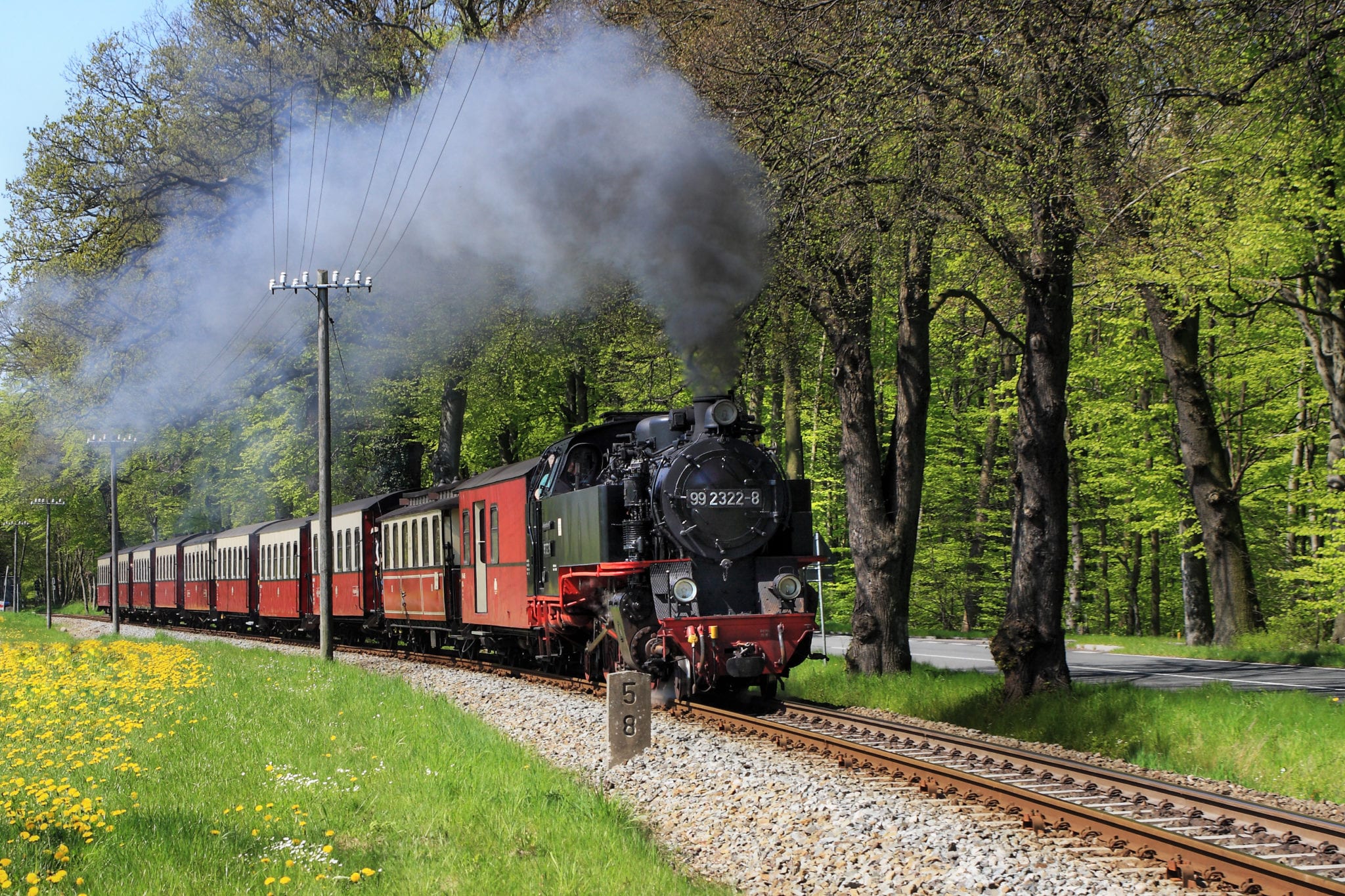 Molli7390 Molli7390
